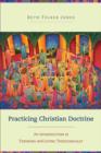 Image for Practicing Christian Doctrine: An Introduction to Thinking and Living Theologically