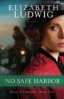 Image for No safe harbor: a novel