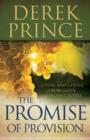 Image for The promise of provision: living and giving from God&#39;s abundant supply