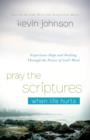 Image for Pray the scriptures when life hurts: experience hope and healing through the power of God&#39;s word