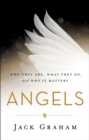 Image for Angels: who they are, what they do, and why it matters