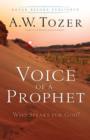 Image for Voice Of A Prophet : Who Speaks For God?