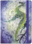 Image for MID DRAGON JOURNAL