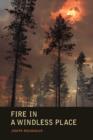 Image for Fire in a Windless Place
