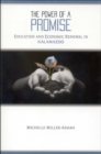 Image for The power of a promise: education and economic renewal in Kalamazoo