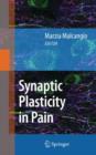 Image for Synaptic plasticity in pain