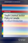 Image for When the bough breaks: critical perspectives on juvenile justice in Canada