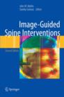 Image for Image-guided spine interventions