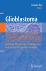 Image for Glioblastoma  : molecular mechanisms of pathogenesis and current therapeutic strategies