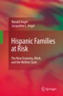 Image for Hispanic families at risk  : the new economy, work, and the welfare state