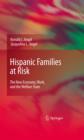 Image for Hispanic families at risk: the new economy, work, and the welfare state