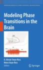 Image for Modeling phase transitions in the brain