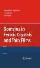 Image for Domains in Ferroic Crystals and Thin Films
