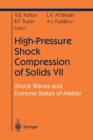 Image for High pressure shock compression VII  : shock waves and extreme states of matter