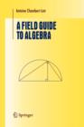 Image for A Field Guide to Algebra