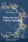 Image for Molecular and cellular signaling