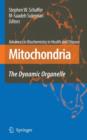 Image for Mitochondria  : the dynamic organelle