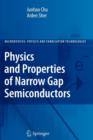 Image for Physics and Properties of Narrow Gap Semiconductors