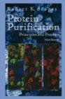 Image for Protein purification  : principles and practice