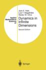 Image for Dynamics in Infinite Dimensions