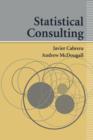 Image for Statistical consulting