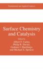 Image for Surface Chemistry and Catalysis