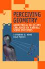 Image for Perceiving Geometry : Geometrical Illusions Explained by Natural Scene Statistics