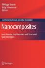 Image for Nanocomposites  : ionic conducting materials and structural spectroscopies