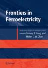 Image for Frontiers of Ferroelectricity