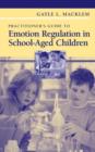 Image for Practitioner&#39;s Guide to Emotion Regulation in School-Aged Children
