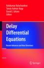 Image for Delay Differential Equations