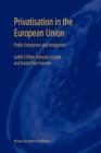Image for Privatisation in the European Union : Public Enterprises and Integration