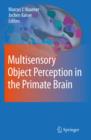 Image for Multisensory object perception in the primate brain