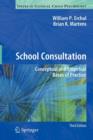 Image for School Consultation