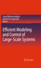 Image for Efficient modeling and control of large-scale systems