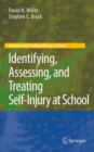Image for Identifying, assessing, and treating self-injury at school