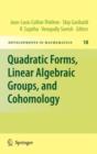 Image for Quadratic Forms, Linear Algebraic Groups, and Cohomology