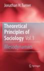 Image for Theoretical principles of sociologyVolume 3