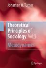 Image for Theoretical Principles of Sociology, Volume 3: Mesodynamics