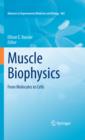 Image for Muscle biophysics: from molecules to cells : v. 682