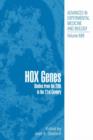 Image for Hox genes: studies from the 20th to the 21st century