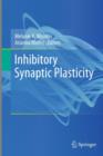 Image for Inhibitory Synaptic Plasticity