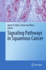 Image for Signaling pathways in squamous cancer