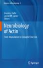 Image for Neurobiology of actin: from neurulation to synaptic function