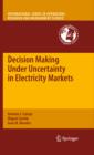 Image for Decision making under uncertainty in electricity markets : 153