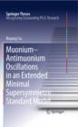 Image for Muonium-antimuonium oscillations in an extended minimal supersymmetric standard model