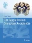 Image for The beagle brain in stereotaxic coordinates