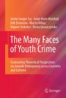 Image for The many faces of youth crime: contrasting theoretical perspectives on juvenile deliquency across countries and cultures