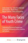 Image for The Many Faces of Youth Crime : Contrasting Theoretical Perspectives on Juvenile Delinquency across Countries and Cultures