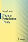 Image for Singular perturbation theory